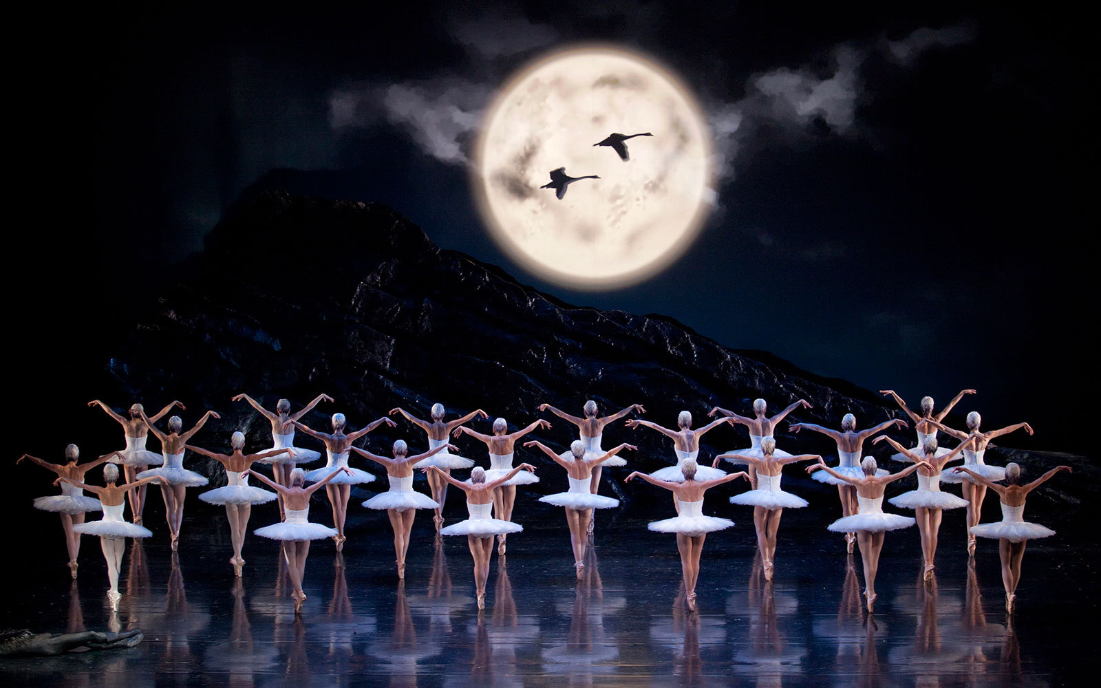 Are we human or are we dancer culture counts