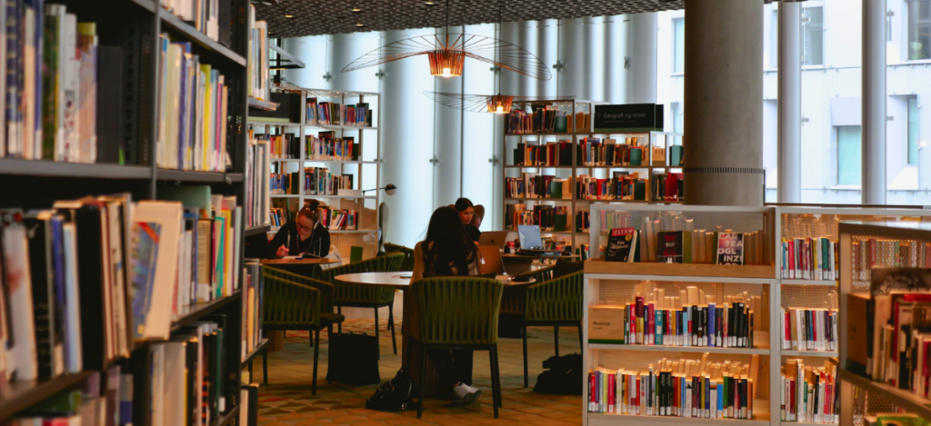 Public Libraries Evaluation Network Report 2024–2025