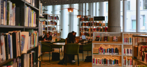 Public Libraries Evaluation Network Report 2024–2025